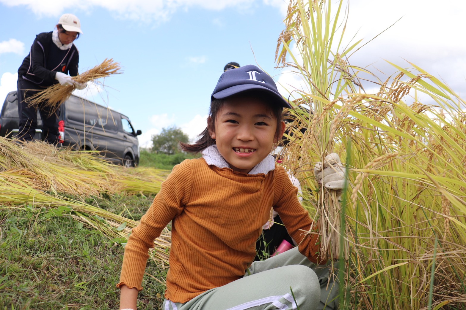 autumn-rice1