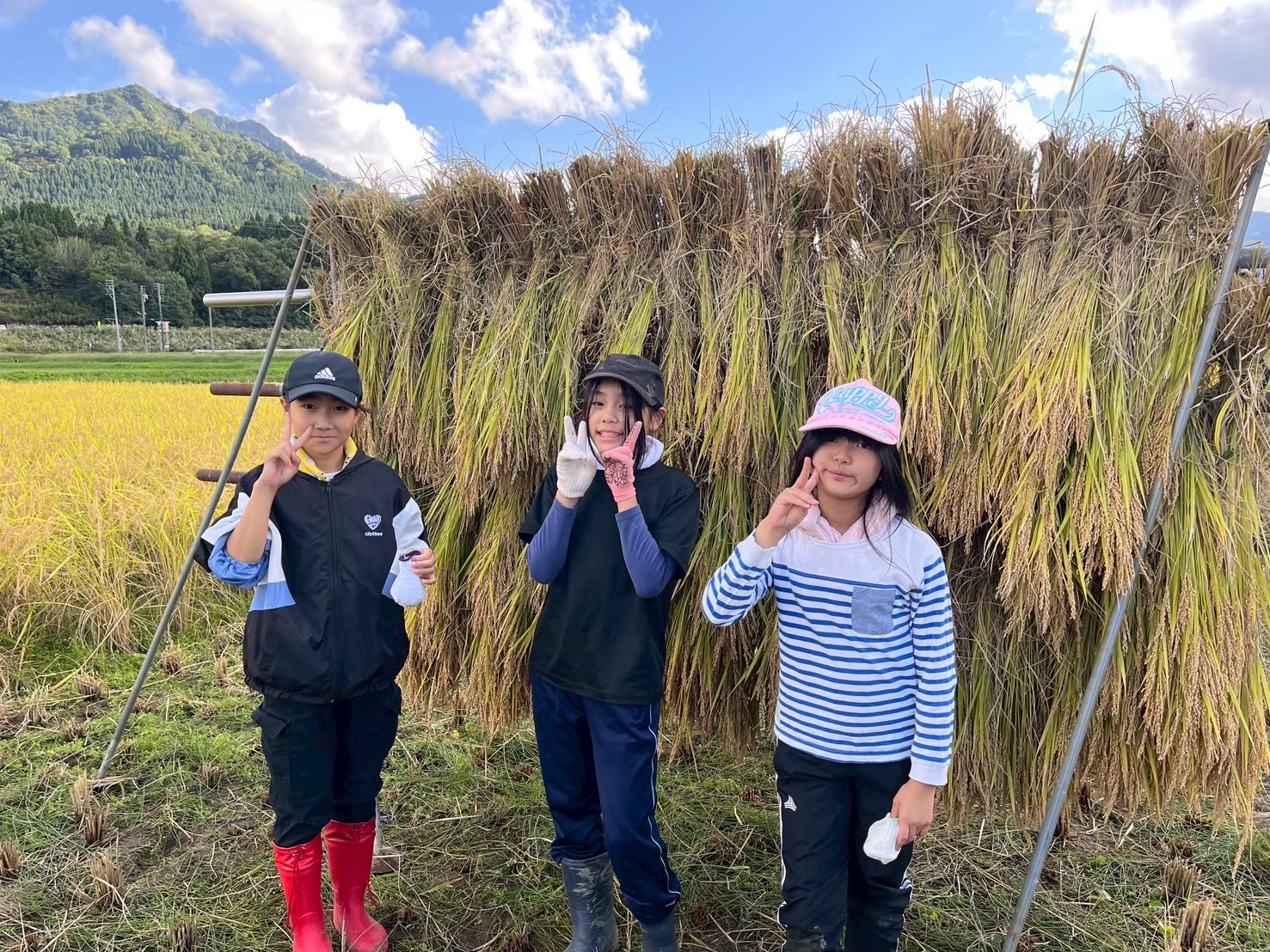 autumn-rice11