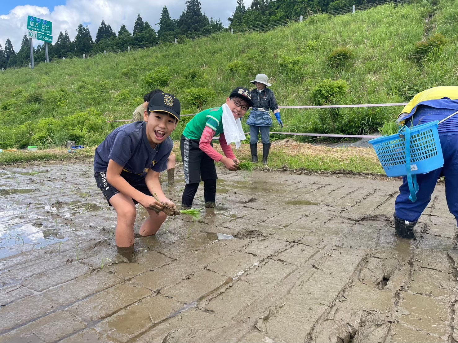 田植え１