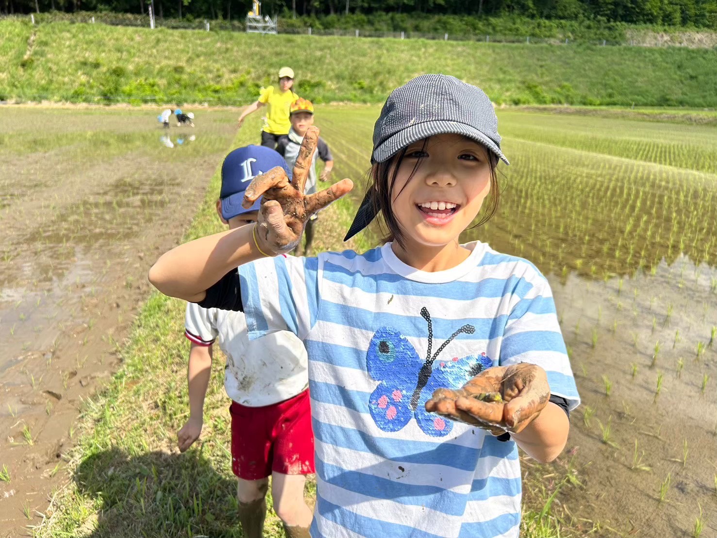 田植え８
